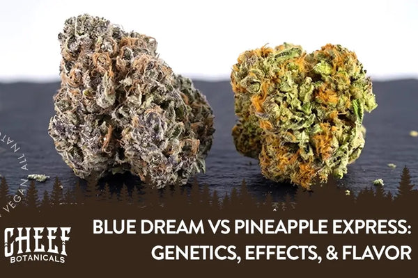 Blue Dream vs Pineapple Express: A Sativa-Dominant Showdown
