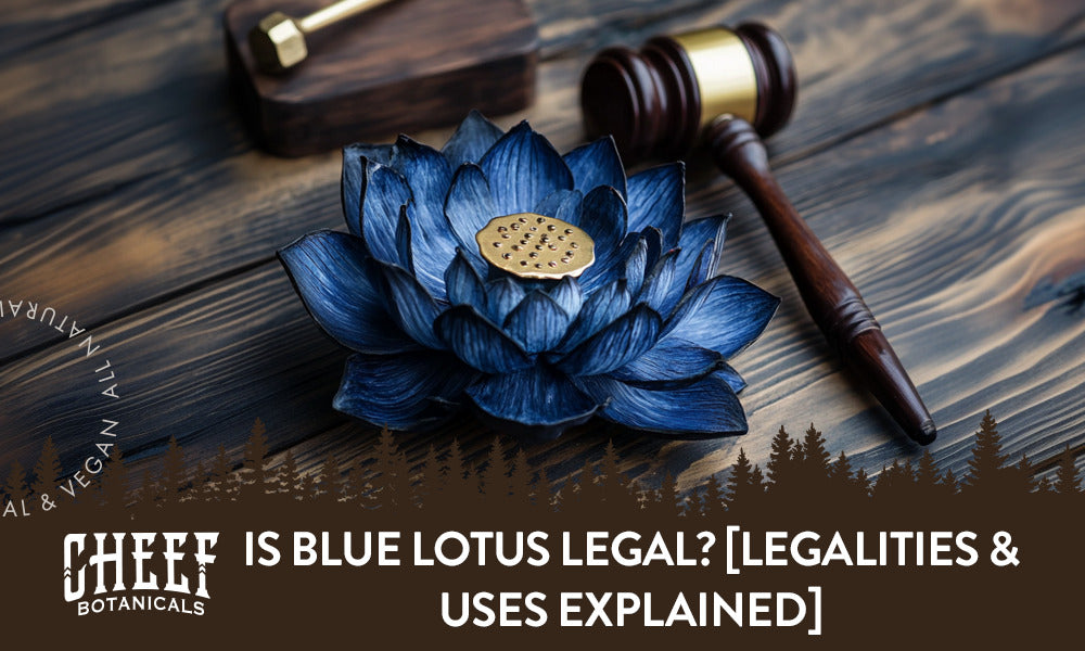 Is Blue Lotus Legal? [Legalities & Uses Explained]