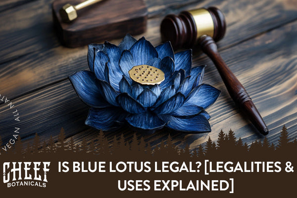 Is Blue Lotus Legal? [Legalities & Uses Explained]