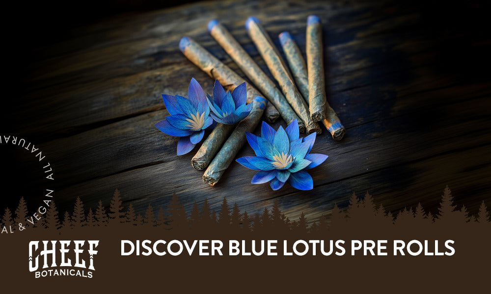 Discover Blue Lotus Pre Rolls