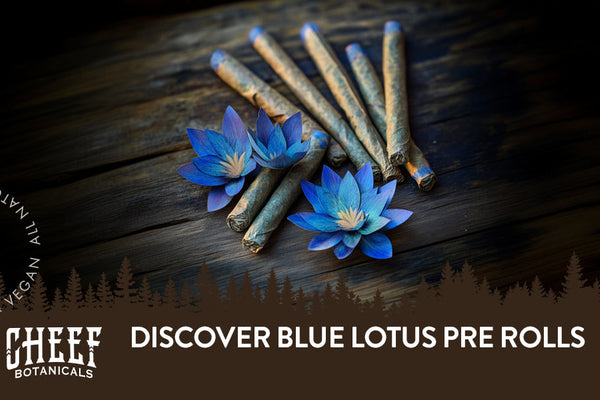 Blue Lotus Pre Rolls Guide: Flavor, Benefits, & Experience