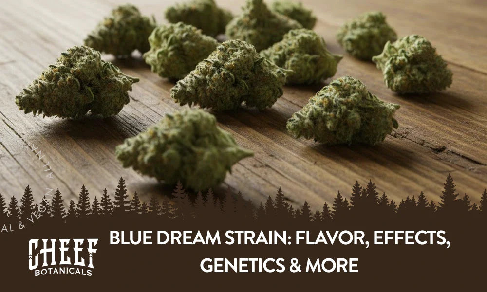 Blue Dream Strain: Flavor, Effects, Genetics & More