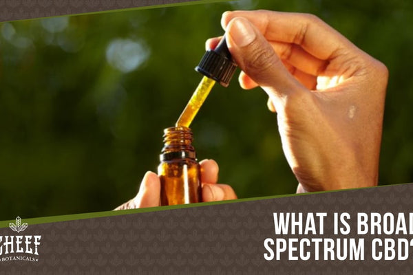 Broad Spectrum CBD: All The Benefits Of CBD Minus The THC