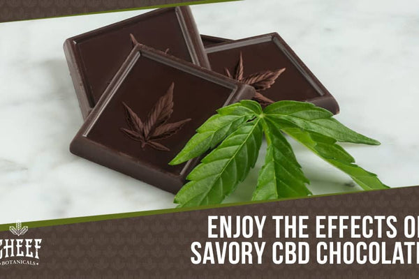 The Best CBD Chocolate: All-Natural, Tasty, &amp; Effective!