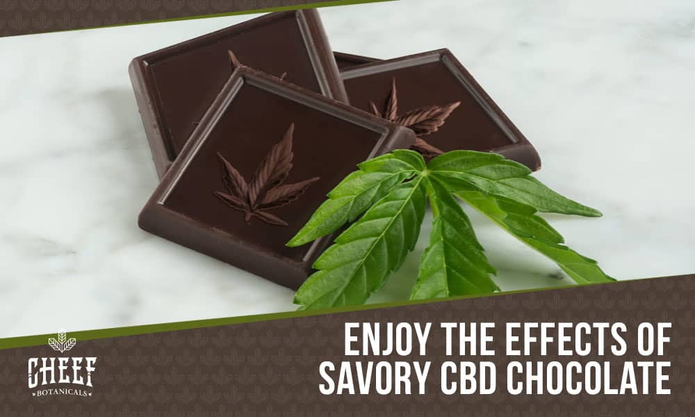 CBD Chocolate (Featured blog image by Cheef Botanicals) showing CBD chocolate bars with a cannabis leaf and the text “Enjoy the Effects of Savory CBD Chocolate.”