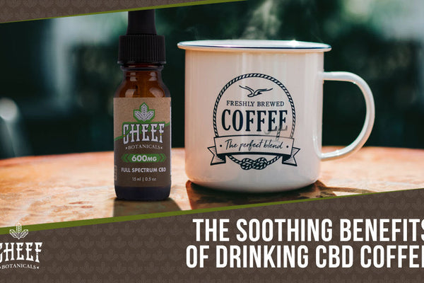 The Best CBD Coffee: 100% All-Natural Energy Without the Crash