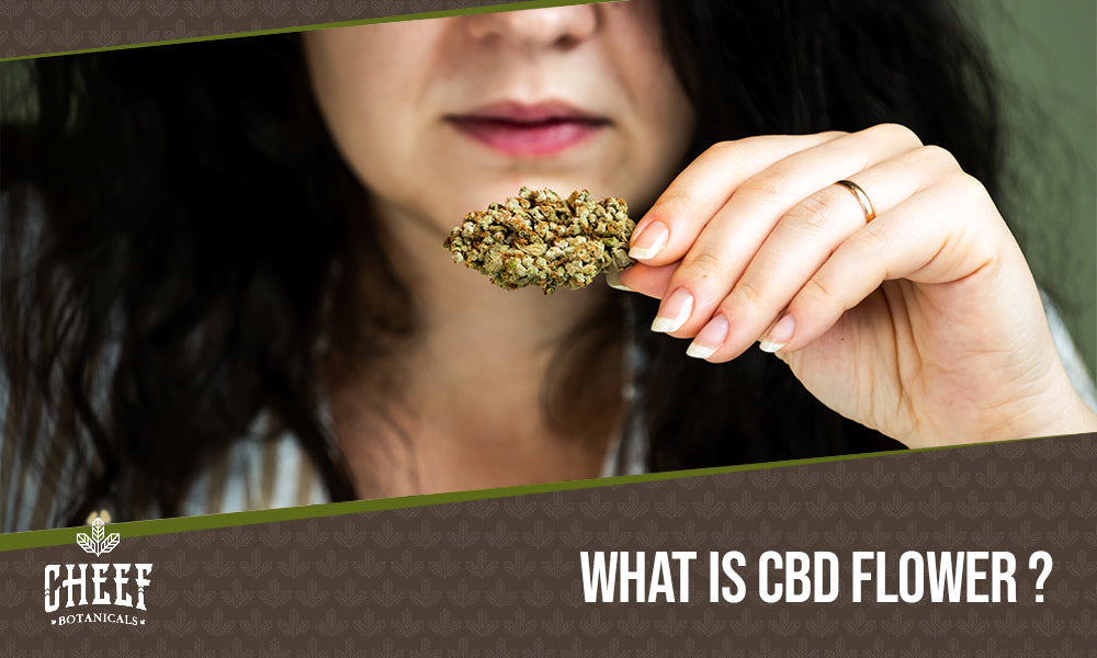 CBD Flower Guide (featured blog image by Cheef Botanicals) shows a woman looking at a CBD flower