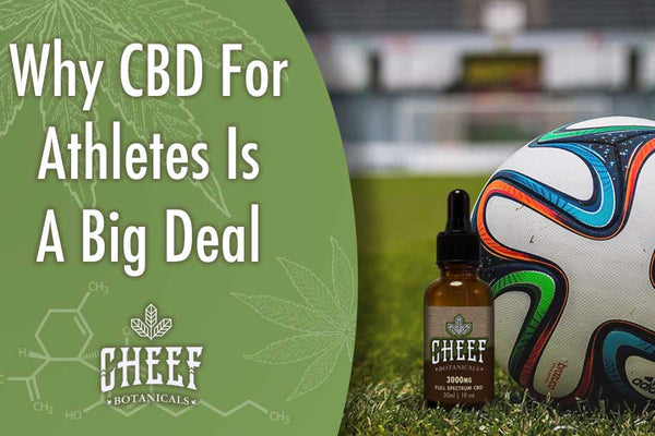 Why CBD for Athletes is a Big Deal