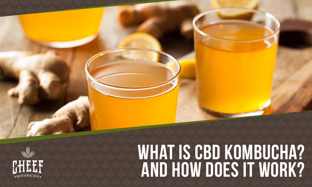 CBD-Kombucha