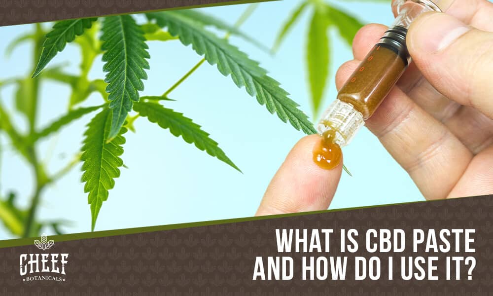 CBD Paste