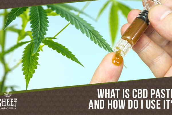 CBD Paste: Should You Buy This Potent New Innovation?