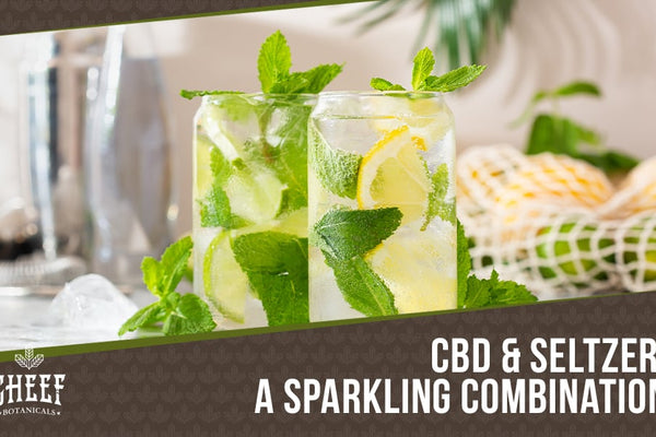 CBD Seltzer Guide: What It Is, How It Works, & What to Expect