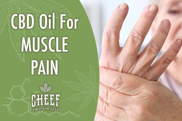Can You Use CBD For Muscle Pain? [Research + Suggested Use]