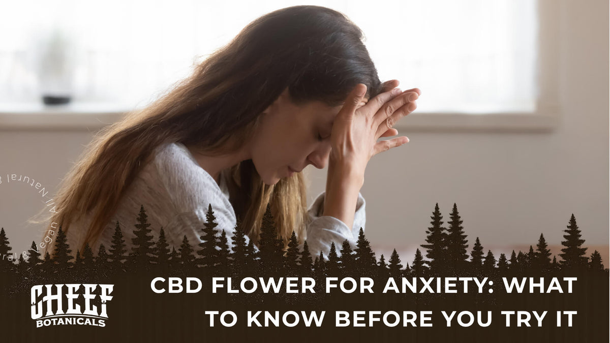 CBD Flower for Anxiety (featured blog image by Cheef Botanicals) shows an anxious woman pressing her hands on her forehead