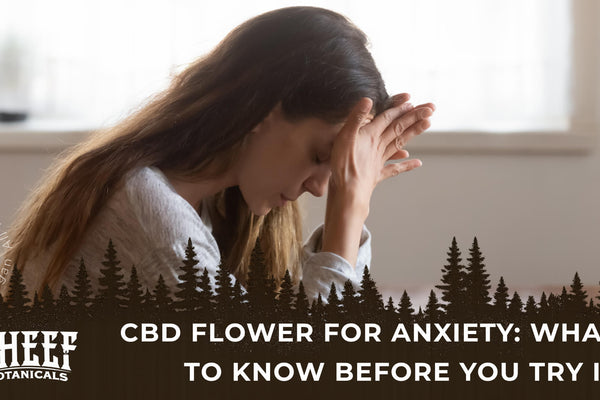 CBD Flower for Anxiety: What to Know Before You Try It