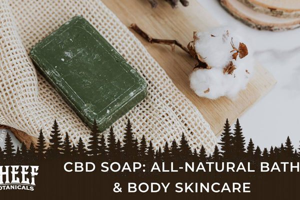 CBD Soap: All-Natural Bath & Body Skincare