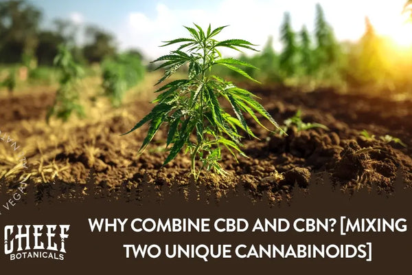 Why Combine CBD and CBN? [Mixing Two Unique Cannabinoids]
