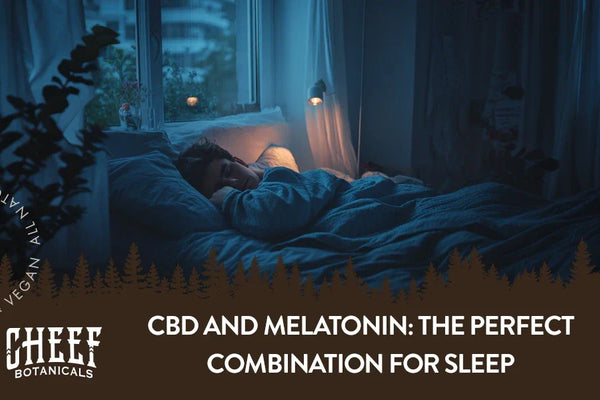CBD and Melatonin Guide: A Perfect Combination for Sleep