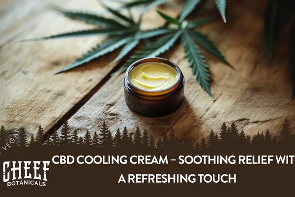 CBD Cooling Cream Guide for Soothing & Refreshing Relief