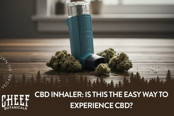 CBD Inhaler: Is This the Easy Way to Experience CBD?