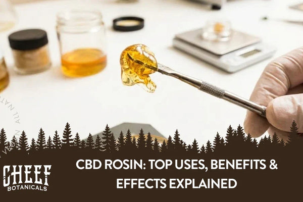 CBD Rosin: Top Uses, Benefits & Effects Explained