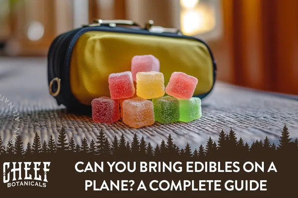 Can You Bring Edibles on a Plane? Your Cannabis Travel Guide