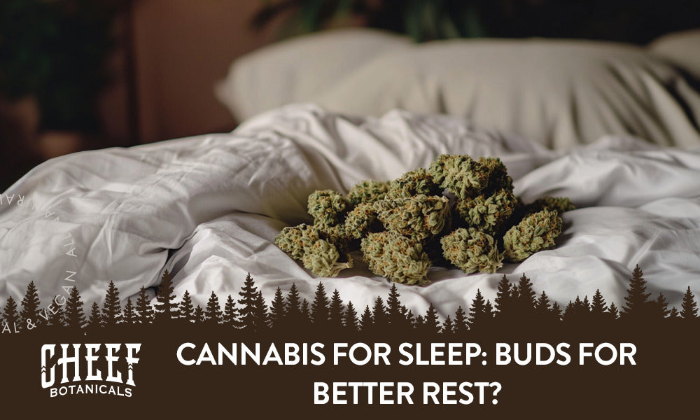 cannabis for sleep (featured blog image by Cheef Botanicals) shows cannabis buds on a bed