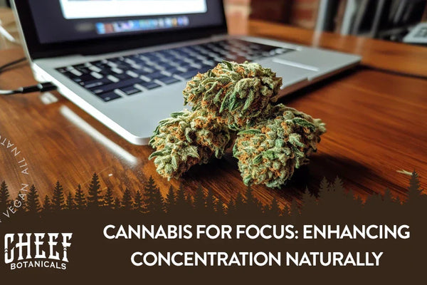 Cannabis for Focus: Enhancing Concentration Naturally
