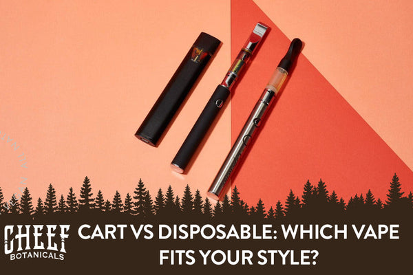 Cart vs Disposable: Which Vape Fits Your Style?