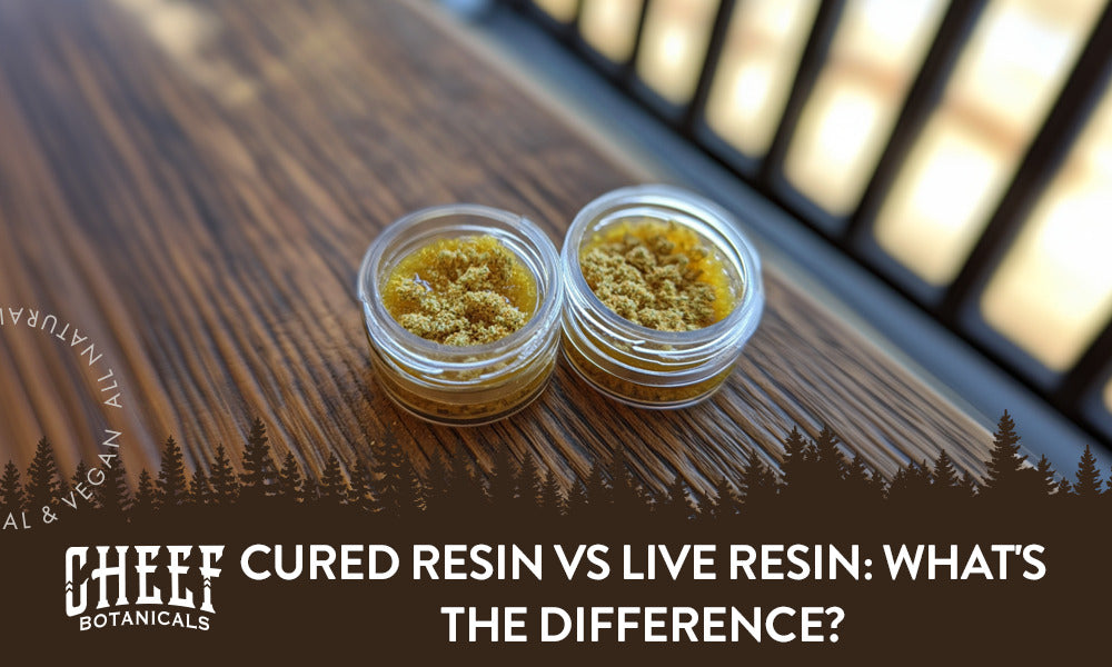 Cured Resin vs Live Resin: What's the Difference?