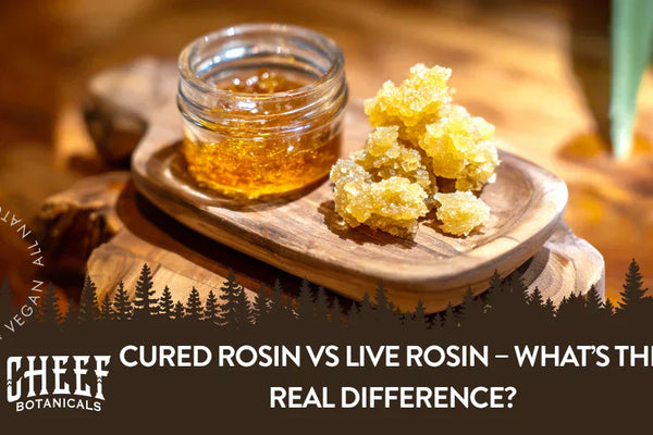 Live Rosin vs Cured Rosin: The Real Difference Behind Flavor & Feel