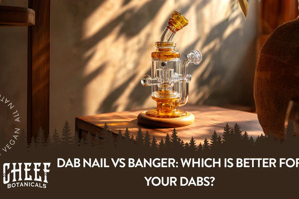 Dab Nail vs Banger: Which is Better for Your Dabs?