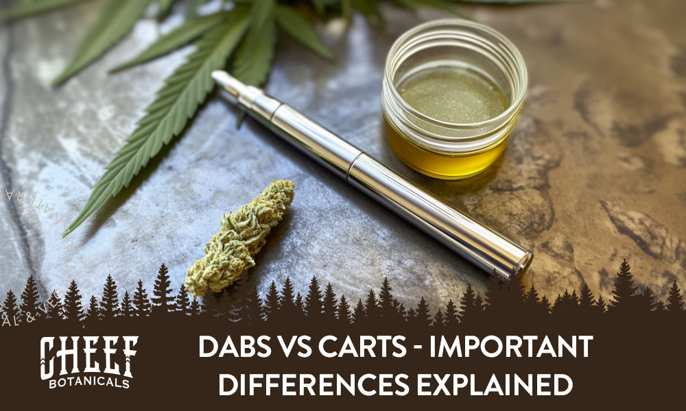 Dabs vs Carts (featured blog image by Cheef Botanicals) shows a cartridge vape pen near cannabis concentrate dabs