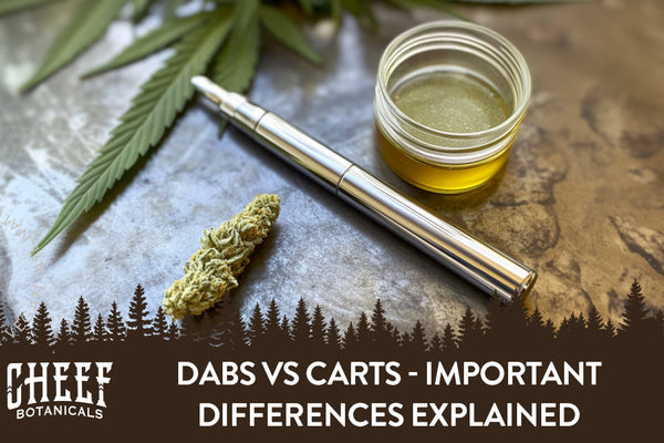 Dabs vs Carts: How They Hit, When to Use Each, & More