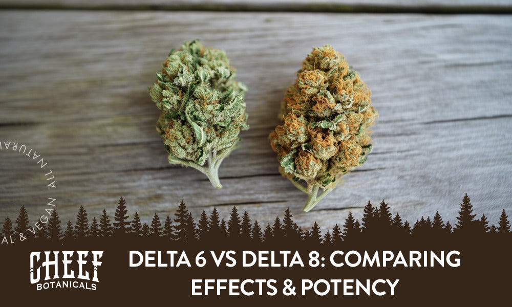 Delta 6 vs Delta 8: Comparing Effects & Potency