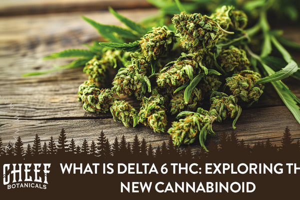 What Is Delta 6 THC: Exploring This New Cannabinoid