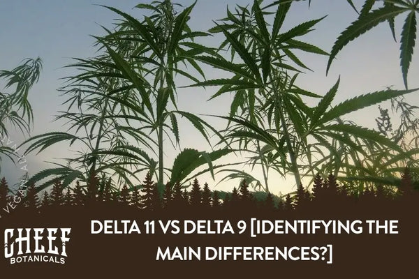 Delta-11 vs. Delta-9: Effects, Strength, Legality, and Key Differences