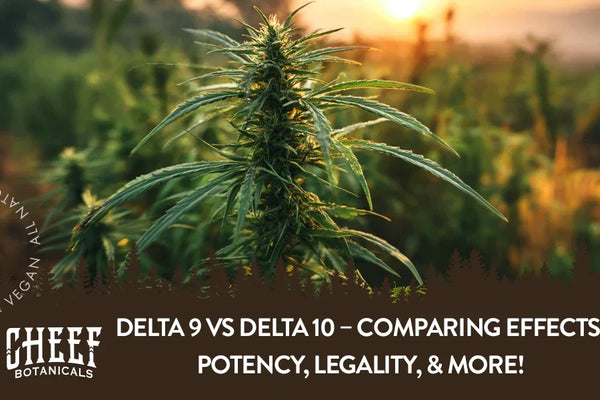 Delta 9 vs Delta 10 – Comparing Effects, Potency, Legality, & More!