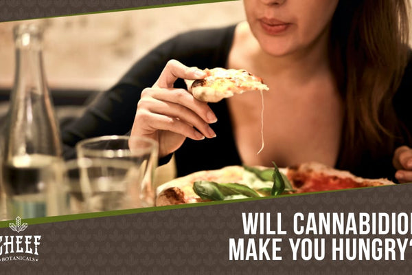Does CBD Make You Hungry? Effects on Appetite Explained