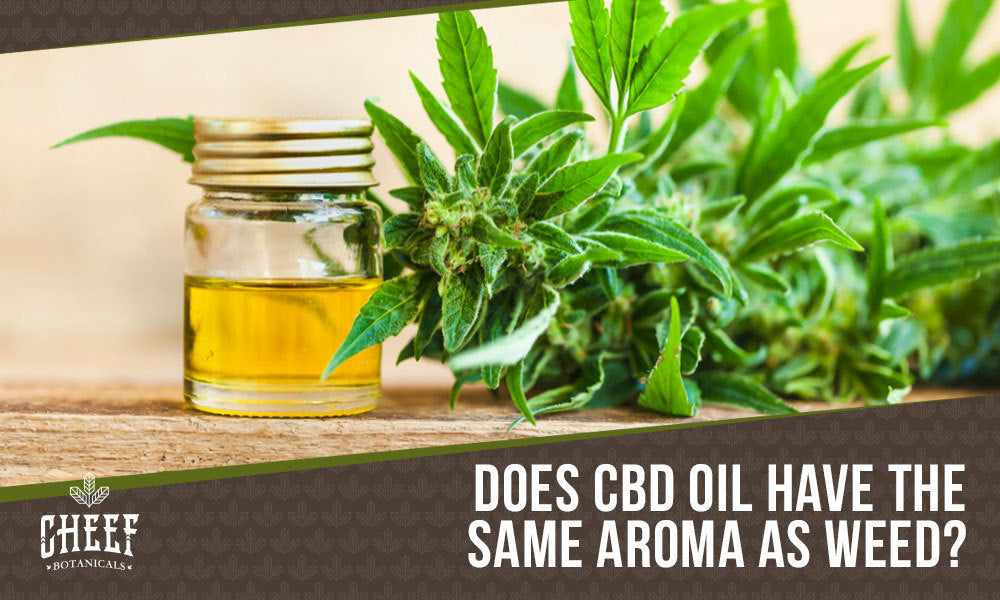 Does CBD Oil Smell Like Weed