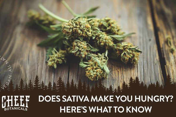 Does Sativa Make You Hungry or Affect Appetite Differently?