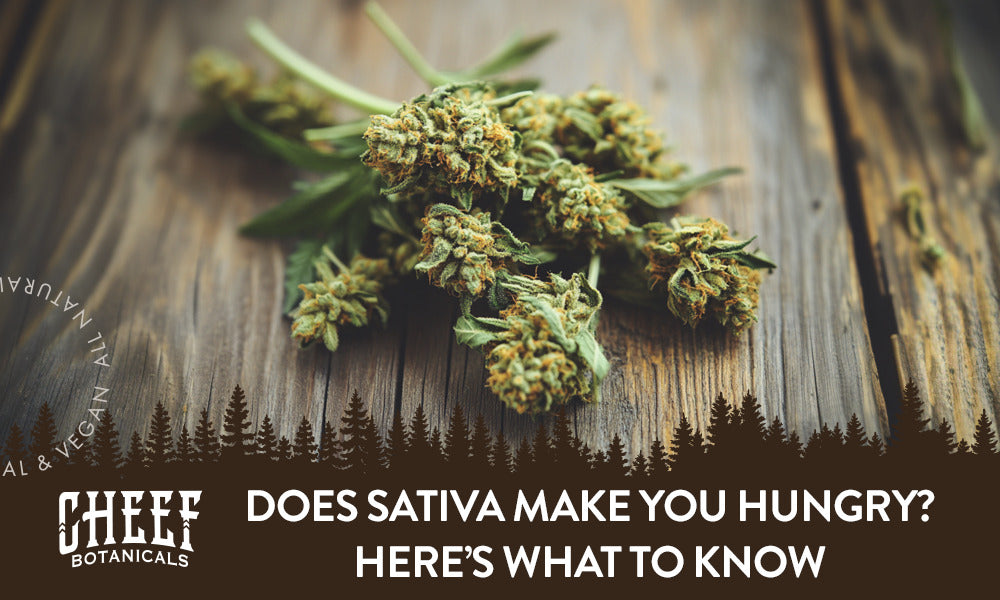 Does Sativa Make You Hungry? Here’s What to Know