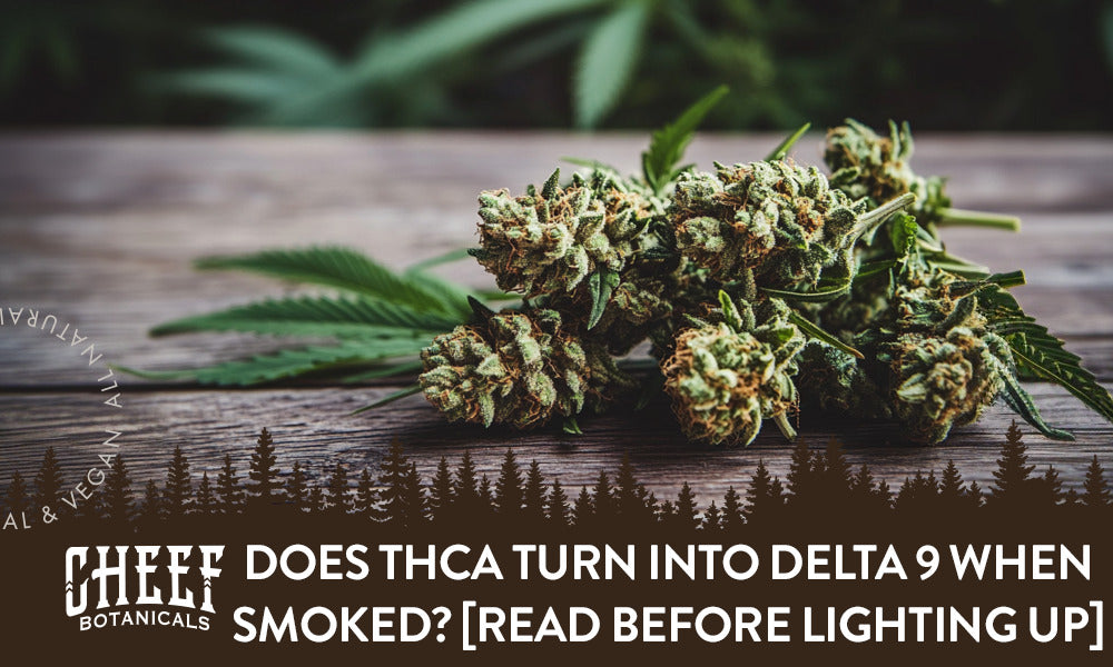 Does THCa Turn Into Delta 9 When Smoked? [Read Before Lighting Up]