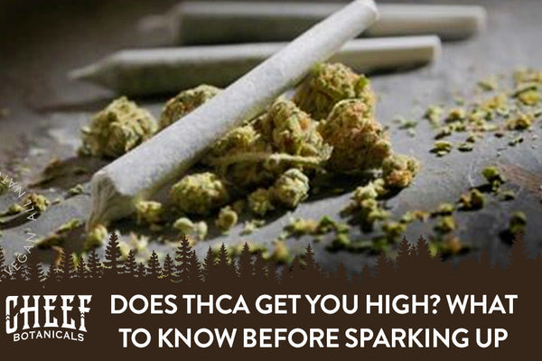 Does THCa Get You High? What to Know Before Sparking Up
