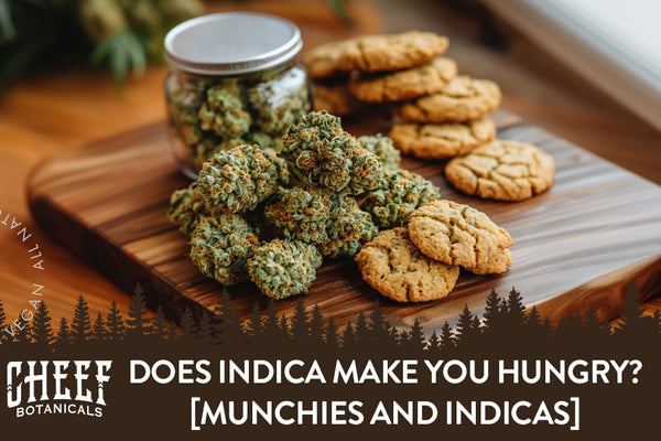 Does Indica Make You Hungry? How It Affects Appetite & Cravings