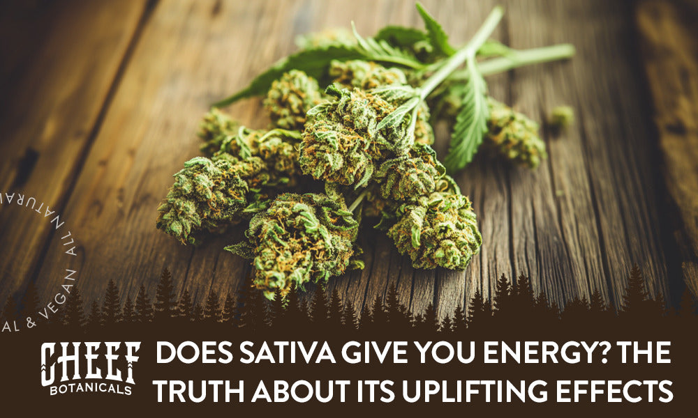 Does Sativa Give You Energy? The Truth About Its Uplifting Effects