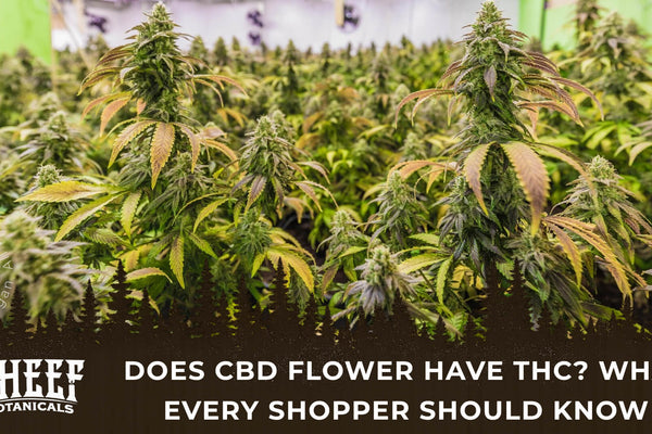 Does CBD Flower Have THC? What Every Shopper Should Know