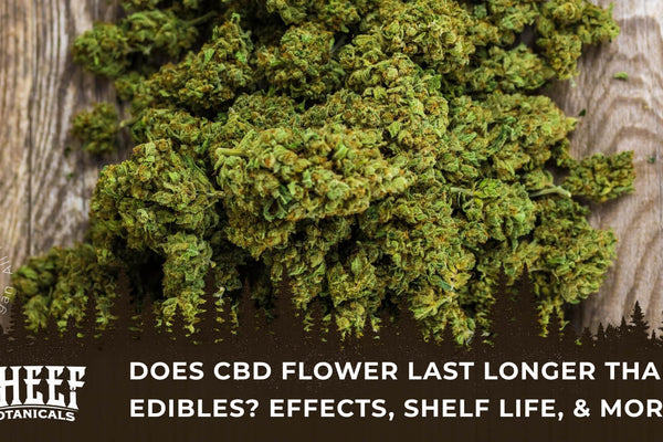 Does CBD Flower Last Longer Than Edibles? Effects, Shelf Life, & More