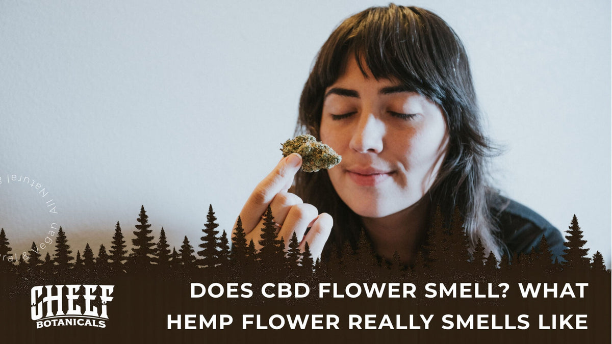 Does CBD Flower Smell (featured blog image by Cheef Botanicals) shows a woman smelling CBD flower