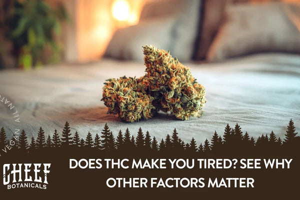 Does THC Make You Tired? See Why Other Factors Matter